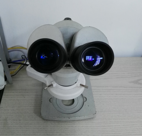 光學（xué）顯微鏡